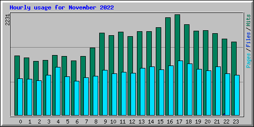 Hourly usage for November 2022